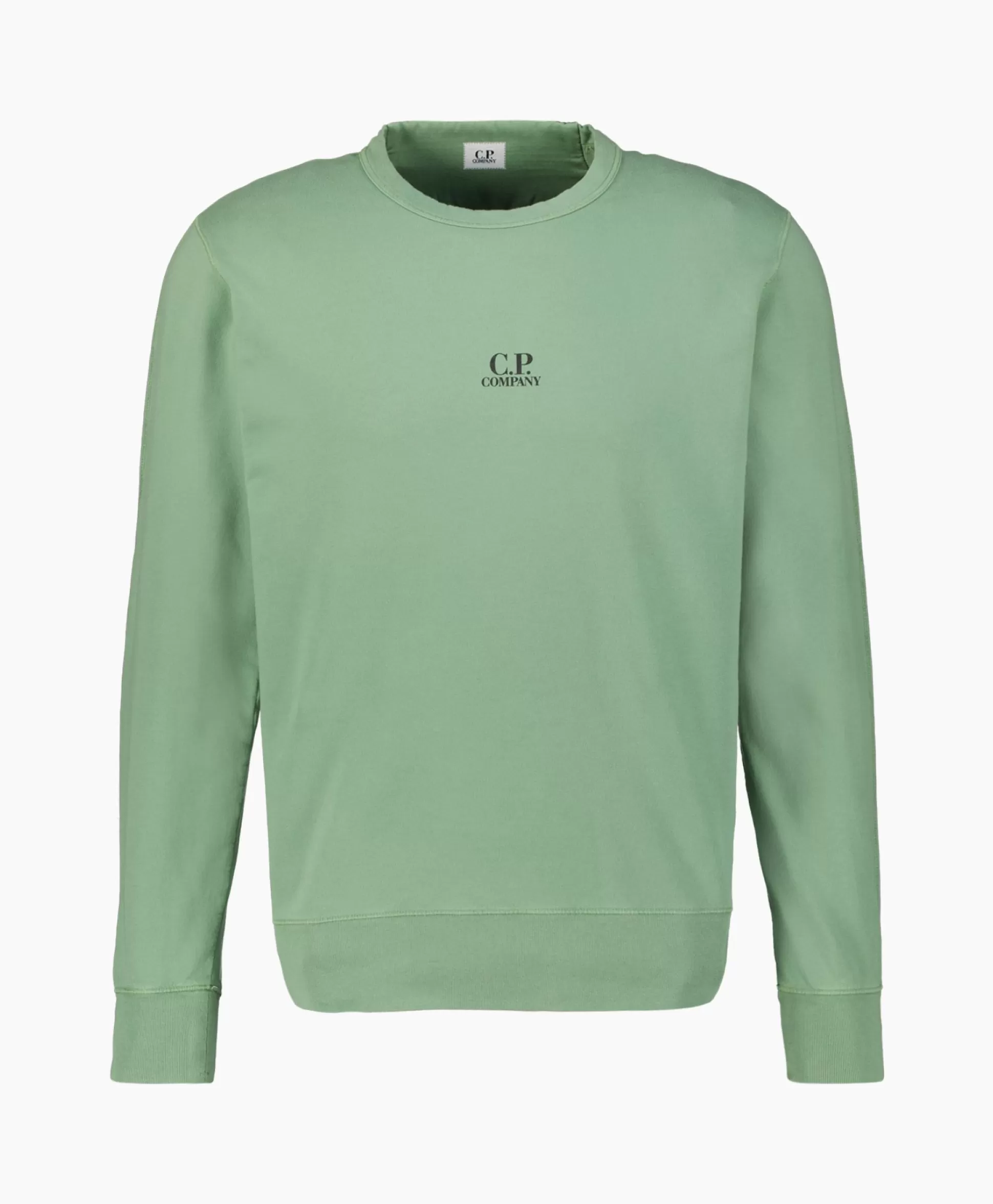 Shop Sweater Light Fleece Logo Groen Heren Truien