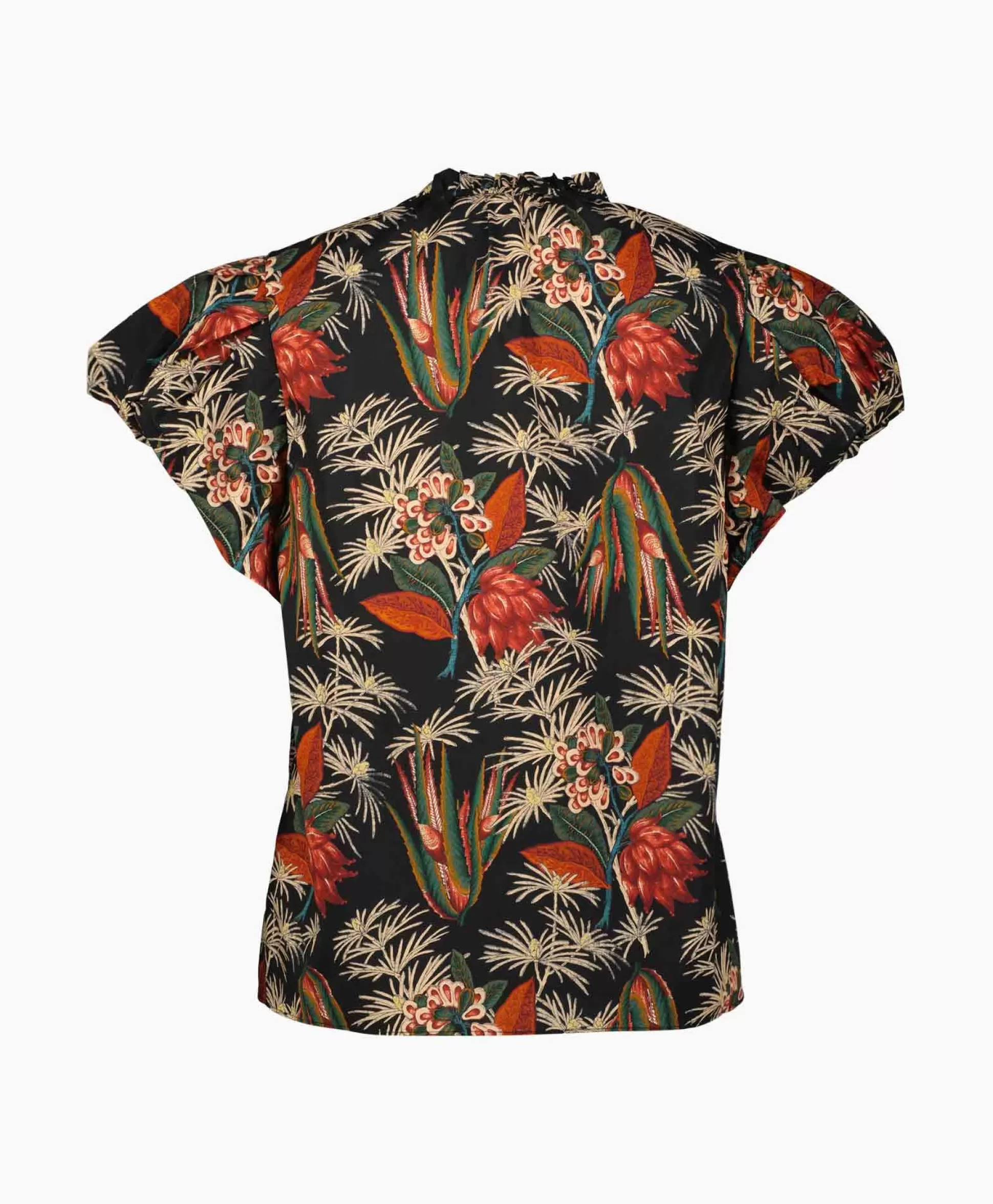 Clearance Blouse Klara Bruin Dames Blouses